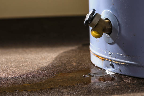 Best Water damage contractors near me  in Omaha, NE