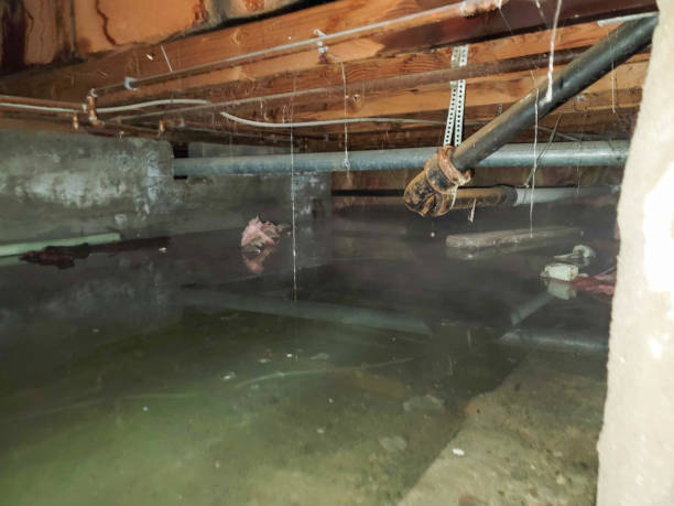 Trusted NE Water damage restoration Experts